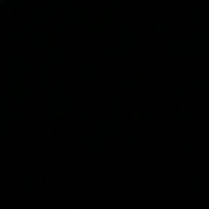 Meet your Posher, Terry